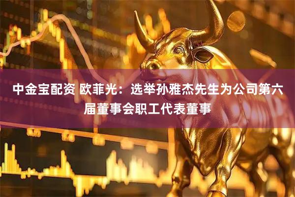 中金宝配资 欧菲光：选举孙雅杰先生为公司第六届董事会职工代表董事