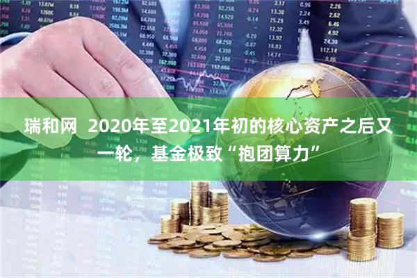 瑞和网  2020年至2021年初的核心资产之后又一轮，基金极致“抱团算力”