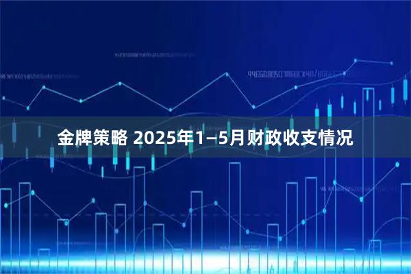 金牌策略 2025年1—5月财政收支情况