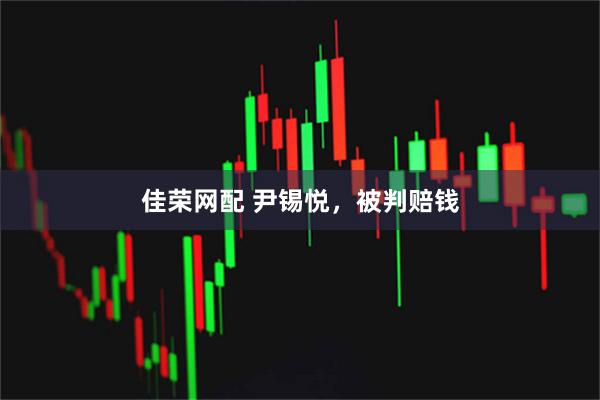 佳荣网配 尹锡悦，被判赔钱