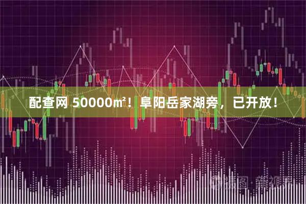 配查网 50000㎡！阜阳岳家湖旁，已开放！